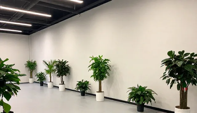 系统维护中资源分配不均影响运维效率的原因分析